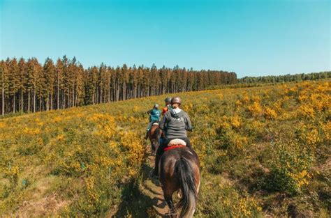 uitstap ardennen|Tips voor uitstapjes naar de Ardennen